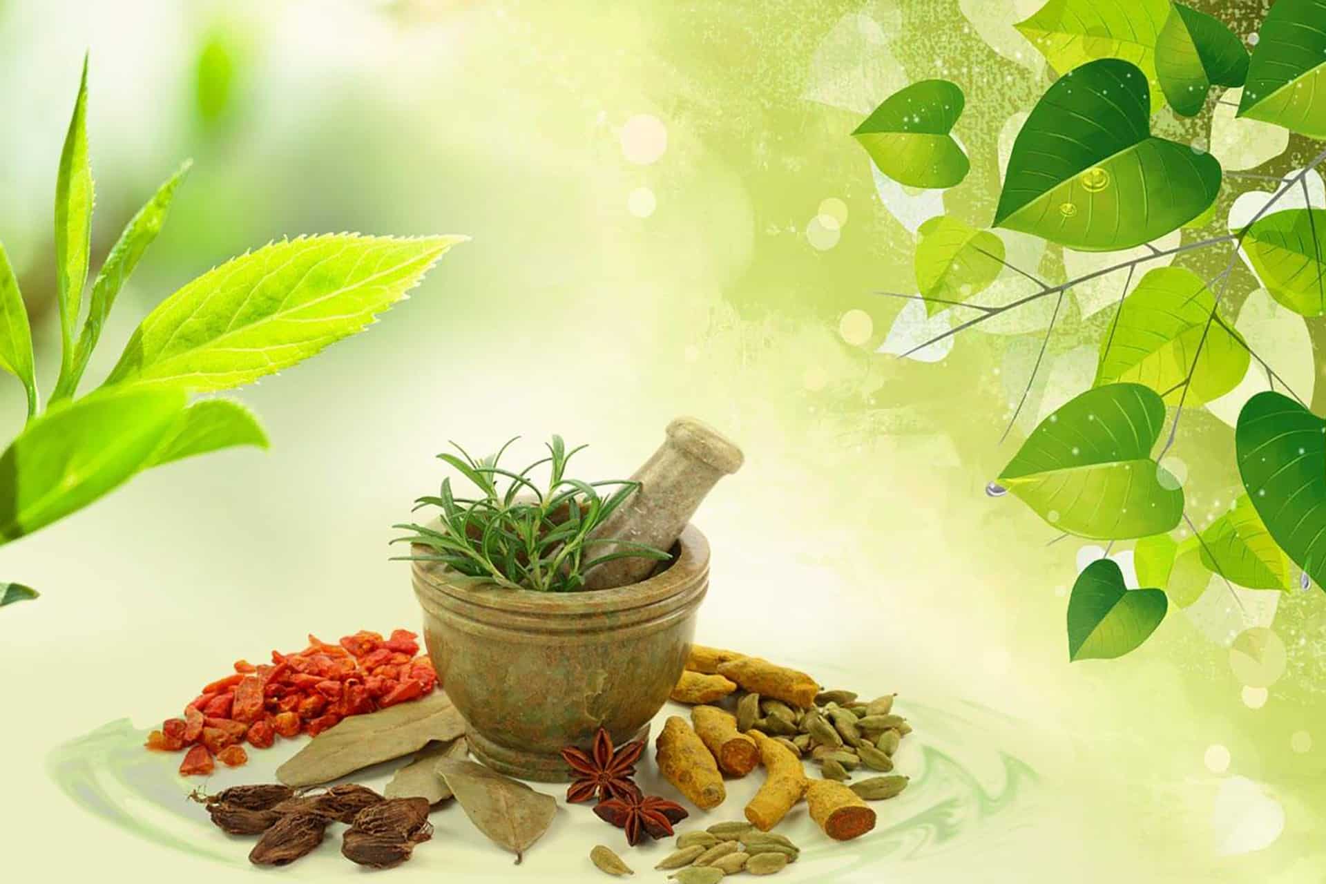 Ayurveda Doctor Pune India. Ayurveda Doctor Sarita Vaidya